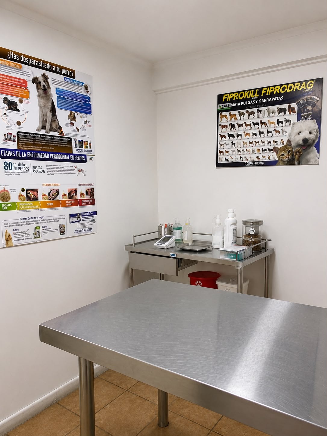 Sala de consulta veterinaria