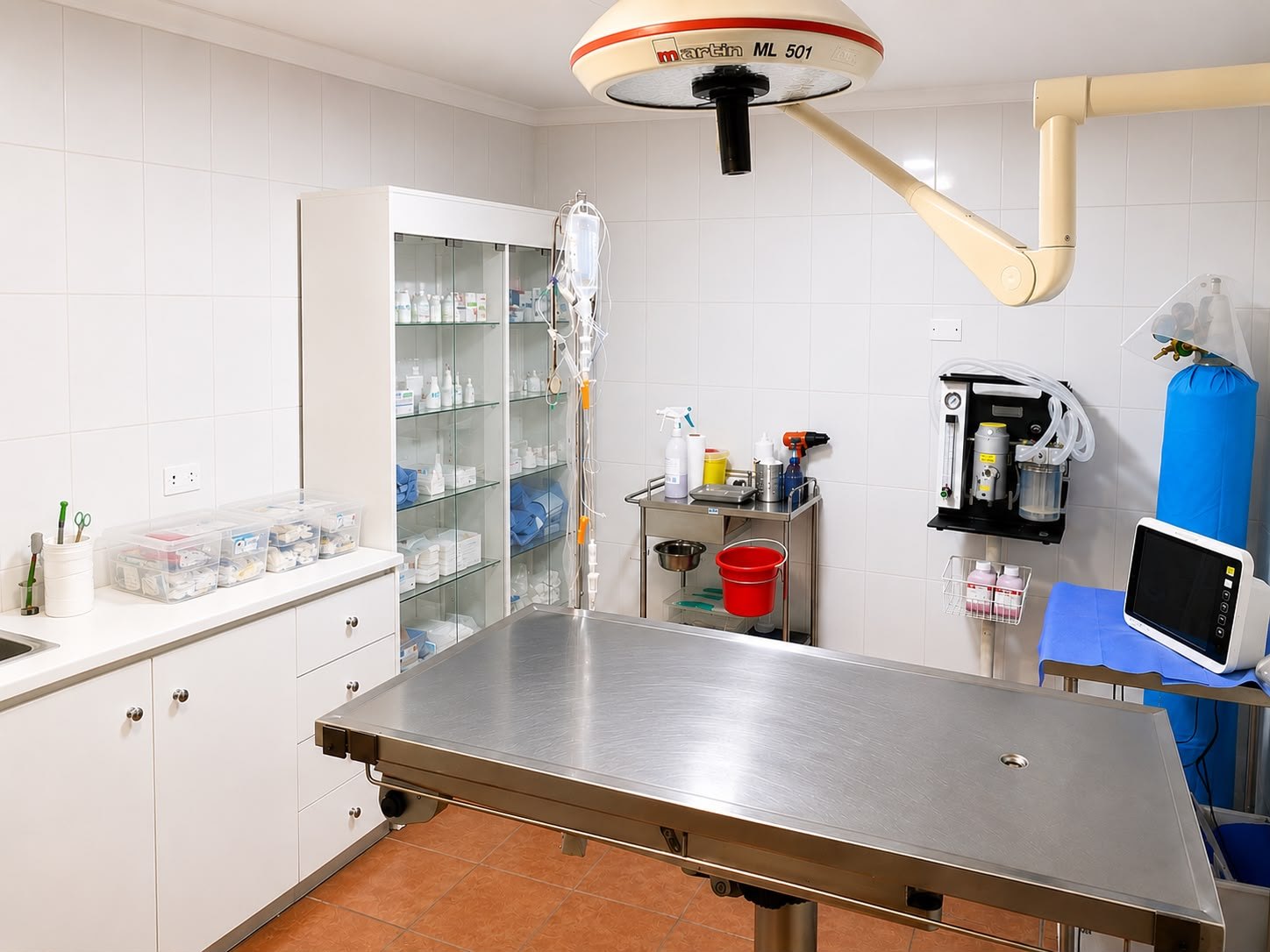 Pabellon veterinario equipado para procedimientos