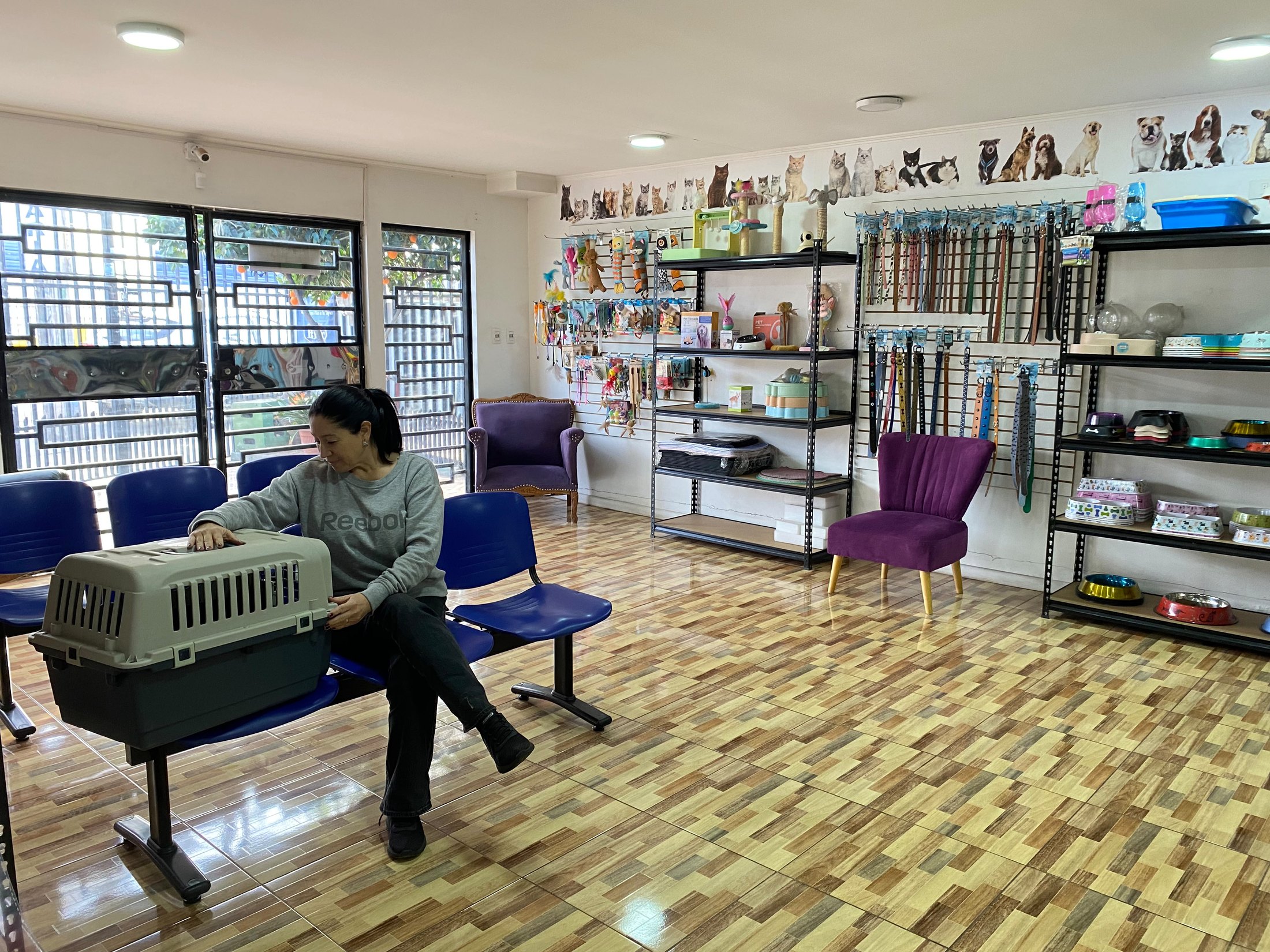 Sala de espera y tienda de Centro Veterinario Vespucio